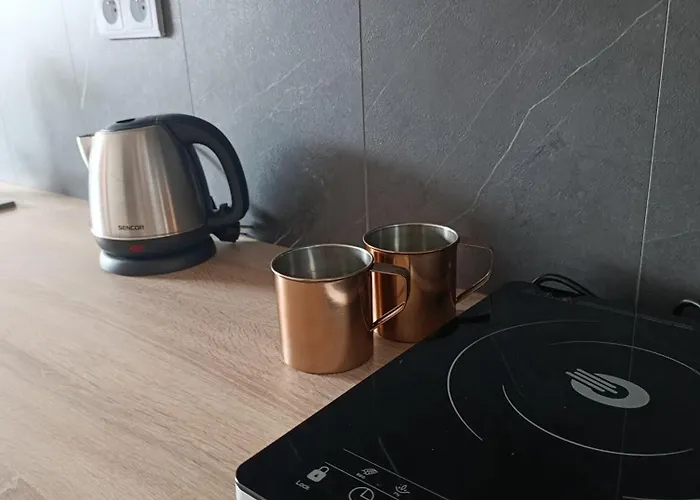 Apartmán Pod Lesom *